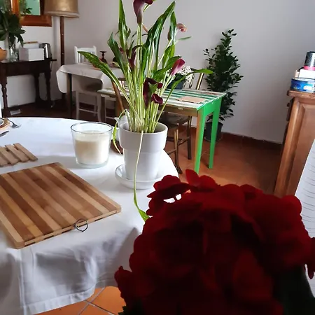 Musas Gastro Casa Rural * Valdealgorfa